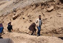 گزارش تصویری بازدید رئیس  و دانشجویان کارشناسی ارشد معدن ، نفت و ژئوفیزیک ازمعدن بوکسیت تاش 